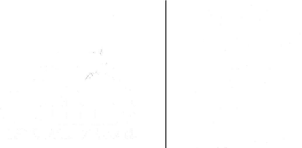 Cairns Council RADF logo white on trans White Logo: Queensland Government